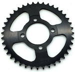 Shark Racing Pinion spate