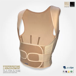 Aurafix AO-53 Schiene Zurück in Beige Farbe