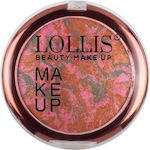 LOLLIS Make Up Terracotta Blush T8