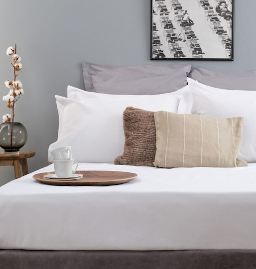 Cokitex Hotel Duvet Cover Guest Cotton 180TC 225x245cm
