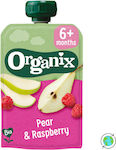 Organix Pürees Pulp Pear & Raspberry Zuckerfrei 100gr für 6+ Monate 1Stück