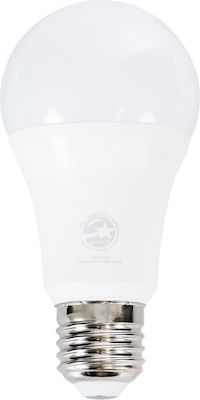 GloboStar Λάμπα LED για Ντουί E27 και Σχήμα A60 Ψυχρό Λευκό 1500lm Dimmable