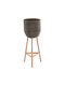Freebox Pot Bamboo 36x36x95cm.
