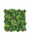 Showood Изкуствена панелна листва Photinia 1x1м Premium