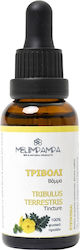 MeliMpampa Βάμμα Τριβόλι Βάμμα 30ml