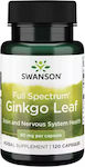 Swanson Ginkgo Leaf 60mg Ginkgo Biloba 120 caps