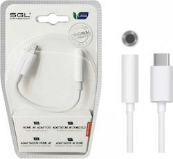SGL 402-0T USB-C männlich zu 3.5mm weiblich 1Stück
