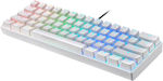 Motospeed CK61 Tastatură Mecanică de Gaming 60% cu Kailh Box Alb întrerupătoare și iluminare RGB Alb