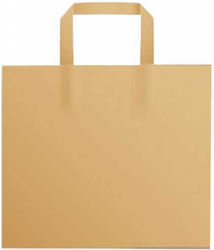 PAPER KRAFT TAKE AWAY BAG WITH REINFORCED INNER HANDLE 28x17x29cm 1 PIECE