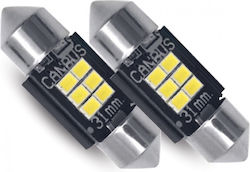 Phonocar Lamps Car LED 6000K Cold White 12V 1.9...