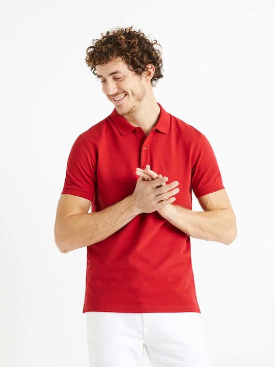 Celio