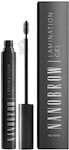 Nanolash Nanobrow Mascara για Φρύδια Διάφανο