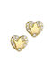 Earrings Heart SK306