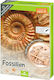 Moses The Large Fossil Excavation Set Educational Game Knowledge for 6+ years old Years Old
