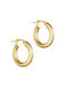 Earrings K14 Gold hoops AAS-21811Y