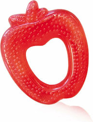 Lorelli Apple Beißring für Zahnen aus Silikon für 3 m+ 1Stück
