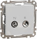 Schneider Electric Sedna TV- und Radiobuchse Antenne in Weiß Farbe SDD113474R