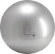 Gymnic Balls Pilates 55cm in Gray Color