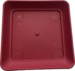 Square plate red No 092