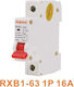 1-Pole General Use Panel Push Button Switch 16A