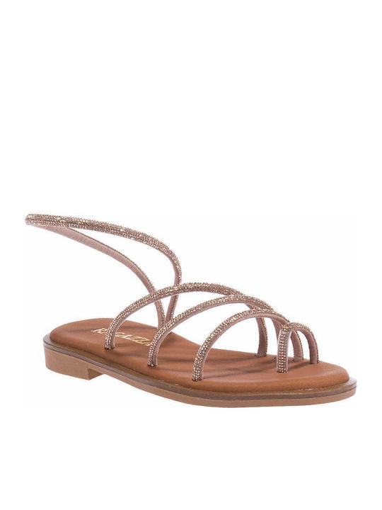 Ragazza Women's Flat Sandals Champagne 01122