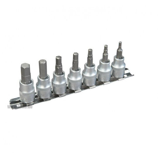 Rothewald Rotherward Walnut with Allen Head and Socket 3/8'' H10 / H3 / H4 / H5 / H6 / H7 / H8 7pcs