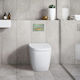 Geberit Flush Plate Dual Flush