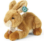 Rappa Plush Bunny 23 cm