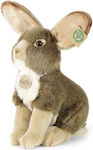 Rappa Plush Bunny 30 cm