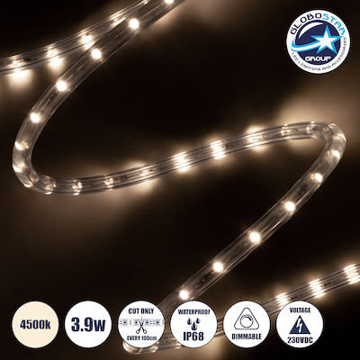 GloboStar Rezistentă la apă Bandă LED Alimentare 220V cu Lumină Alb Natural Lungime 1m și 36 LED-uri pe Metru