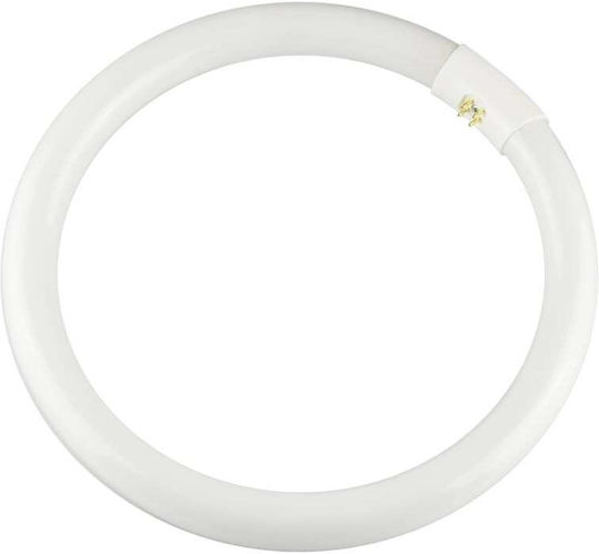 Redled Leuchtstofflampe für Fassung G10Q 32W