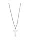 Puppis Charm aus Vergoldet Stahl
