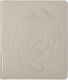Dragon Shield Card Codex 360 Portfolio Ashen Bi...