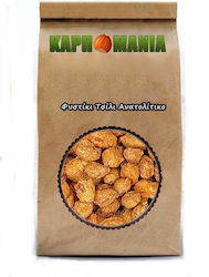 Karpomania Φιστίκια Αράπικα 100gr