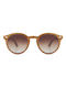 Daponte Sunglasses with Brown Wooden Frame and Brown Gradient Polarized Lens DAP040K#G5