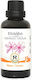 Herbstore Tincture Epilobium Ciliatum Tincture 50ml Energy
