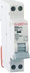 Redled Αυτόματη Ασφάλεια 10A Διπολική AC 28513