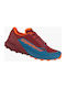 Ultra 50 Sport Shoes Running Mallard Blue / Syrah