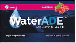 Waterade Χυμός Raspberry 10gr