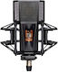 Lewitt PURE TUBE Studio Set Set Mikrofon XLR Stoßmontiert für Studio
