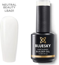 Bluesky Fast & Easy
