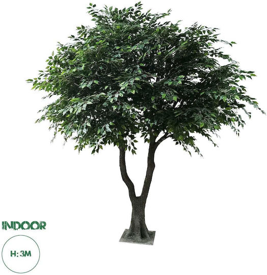 Ficus Lyrata Дърво На Открито 350см GloboStar