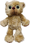 Plüsch Teddybär mit glänzenden Augen 16cm