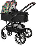 Lorelli Viola Adjustable 2 in 1 Baby Stroller Suitable for Newborn Tropical Flowers