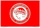 Mannschaftsfahne Netzstempel Olympiacos FC 50x75cm