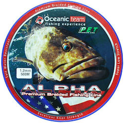 Oceanic Team Fischereifaden Länge 1000m