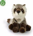 Rappa Plush Ρακούν 28 cm