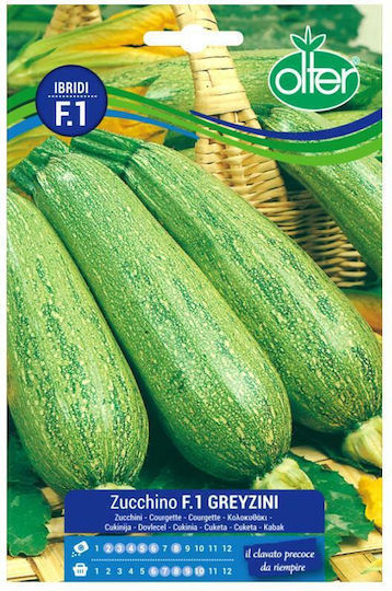 Olter Samen Kürbisς Zucchini Zucchino