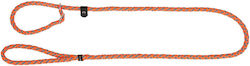Kerbl Dog Leash/Lead Strap leash in Orange color