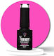 Trendy Color Cosmetics Halb-permanenter Nagellack 012 6ml 1Stück